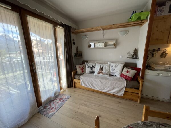 Loue appartement à La Joue du Loup hautes alpes, station ski Superdévoluy, idéal pour vos vacances en montagne été comme hiver