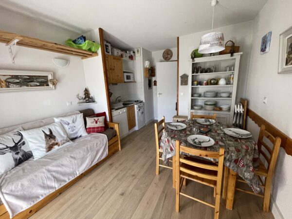 Loue appartement à La Joue du Loup hautes alpes, station ski Superdévoluy, idéal pour vos vacances en montagne été comme hiver