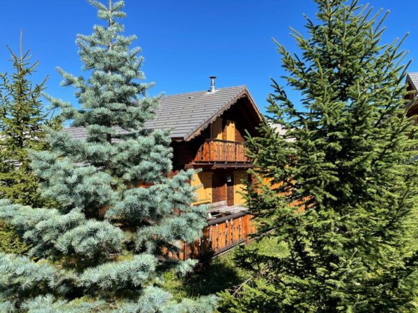 Loue chalet à La Joue du Loup hautes alpes, station ski Superdévoluy, idéal pour vos vacances en montagne été comme hiver