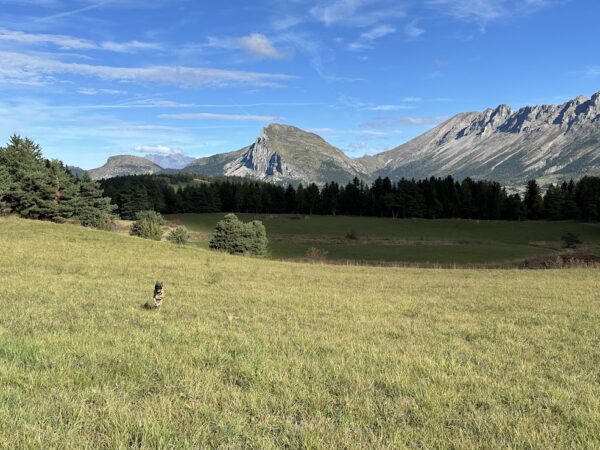 Loue appartement à La Joue du Loup hautes alpes, station ski Superdévoluy, idéal pour vos vacances en montagne été comme hiver