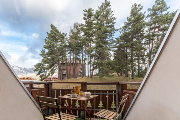 Loue appartement à La Joue du Loup hautes alpes, station ski Superdévoluy, idéal pour vos vacances en montagne été comme hiver