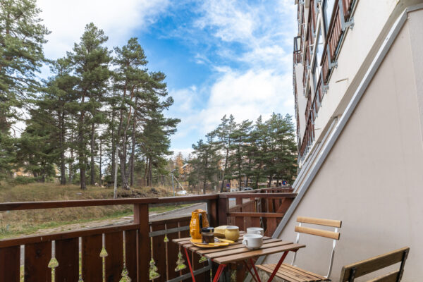 Loue appartement à La Joue du Loup hautes alpes, station ski Superdévoluy, idéal pour vos vacances en montagne été comme hiver