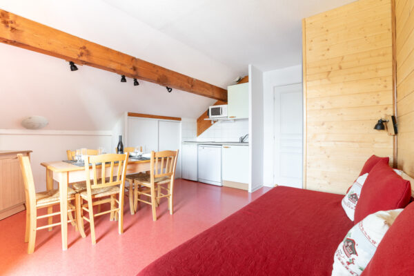 Loue appartement à la Joue du Loup, station de ski dans les hautes alpes, proche de Superdévoluy. Idéal pour vos vacances en montagne l'été et hiver