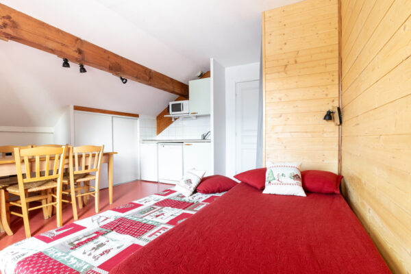 Loue appartement à la Joue du Loup, station de ski dans les hautes alpes, proche de Superdévoluy. Idéal pour vos vacances en montagne l'été et hiver
