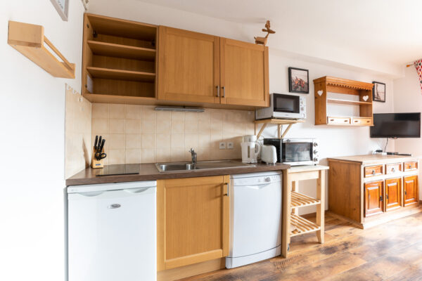 loue appartement à la Joue du Loup, station de ski dans les hautes alpes, même domaine de ski que Superdévoluy, idéal pour vos vacances en montagne été comme hive