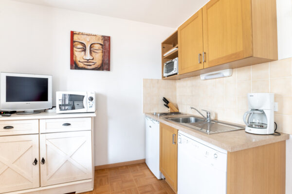 loue appartement à la Joue du Loup, station de ski dans les hautes alpes, même domaine de ski que Superdévoluy, idéal pour vos vacances en montagne été comme hive