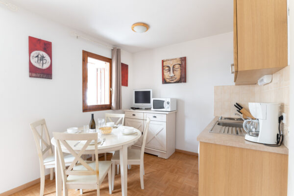 loue appartement à la Joue du Loup, station de ski dans les hautes alpes, même domaine de ski que Superdévoluy, idéal pour vos vacances en montagne été comme hive