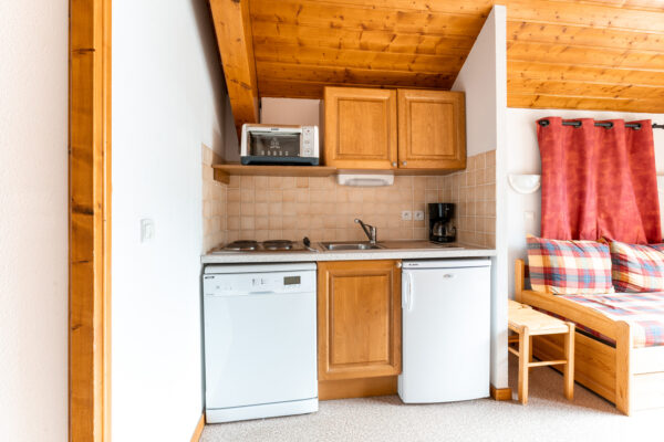 loue appartement à la Joue du Loup, station de ski dans les hautes alpes, même domaine de ski que Superdévoluy, idéal pour vos vacances en montagne été comme hiver