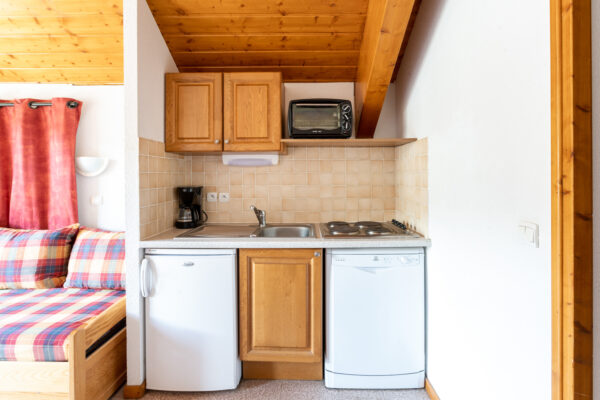 loue appartement à la Joue du Loup, station de ski dans les hautes alpes, même domaine de ski que Superdévoluy, idéal pour vos vacances en montagne été comme hiver