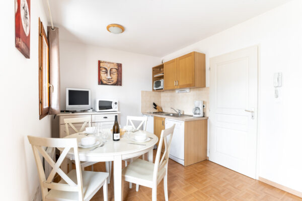 loue appartement à la Joue du Loup, station de ski dans les hautes alpes, même domaine de ski que Superdévoluy, idéal pour vos vacances en montagne été comme hive