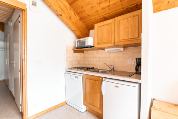loue appartement à la Joue du Loup, station de ski dans les hautes alpes, même domaine de ski que Superdévoluy, idéal pour vos vacances en montagne été comme hiver