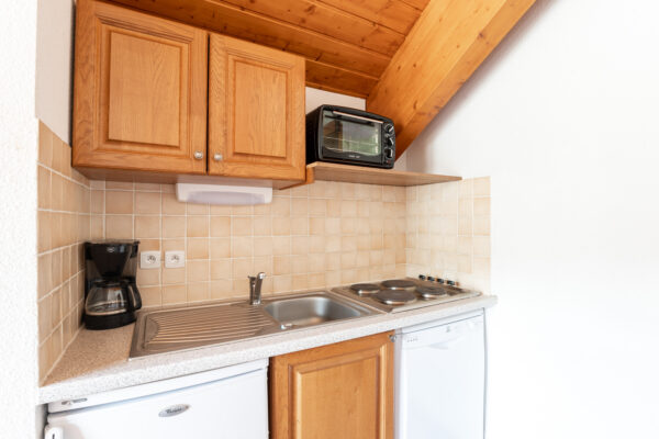 loue appartement à la Joue du Loup, station de ski dans les hautes alpes, même domaine de ski que Superdévoluy, idéal pour vos vacances en montagne été comme hiver