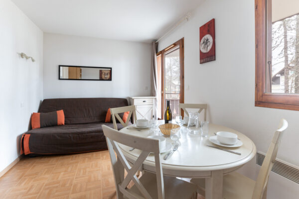 loue appartement à la Joue du Loup, station de ski dans les hautes alpes, même domaine de ski que Superdévoluy, idéal pour vos vacances en montagne été comme hive