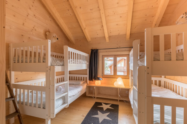 loue chalet à la Joue du Loup, station de ski dans les hautes alpes, même domaine de ski que Superdévoluy, idéal pour vos vacances en montagne été comme hiver