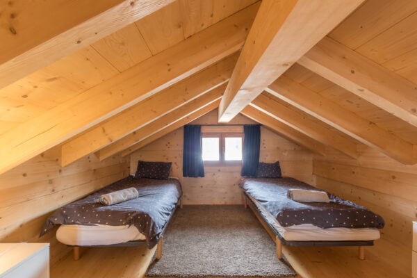 loue chalet à la Joue du Loup, station de ski dans les hautes alpes, même domaine de ski que Superdévoluy, idéal pour vos vacances en montagne été comme hiver