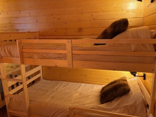loue chalet à la Joue du Loup, station de ski dans les hautes alpes, même domaine de ski que Superdévoluy, idéal pour vos vacances en montagne été comme hiver
