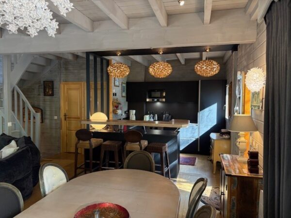 loue chalet à la Joue du Loup, station de ski dans les hautes alpes, même domaine de ski que Superdévoluy, idéal pour vos vacances en montagne été comme hiver