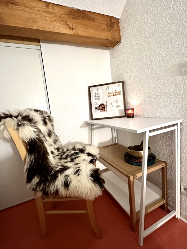 loue appartement à la Joue du Loup, station de ski dans les hautes alpes, même domaine de ski que Superdévoluy, idéal pour vos vacances en montagne été comme hiver