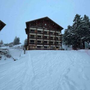 loue appartement à la Joue du Loup, station de ski dans les hautes alpes, même domaine de ski que Superdévoluy, idéal pour vos vacances en montagne été comme hiver